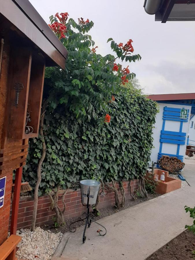 Complex Turistic Essenza Otel Murighiol Dış mekan fotoğraf